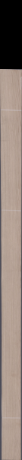 European White Oak, 19.2000