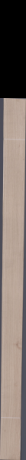 European White Oak, 18.6480