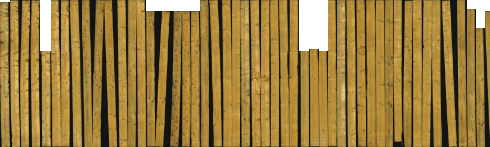Molid antic cu noduri, 1559,0700