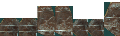 Agana s pegami, 115,2200