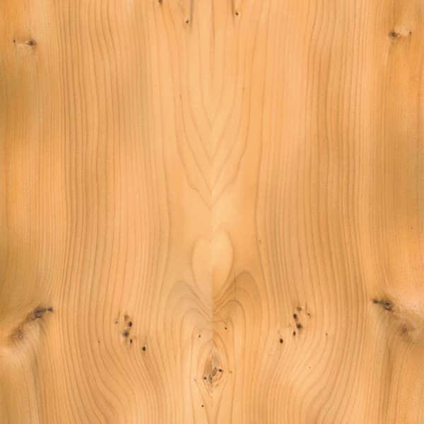 Yew Wood